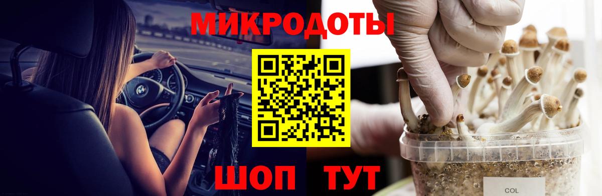 Галлюциногенные грибы Cubensis Благодарный
