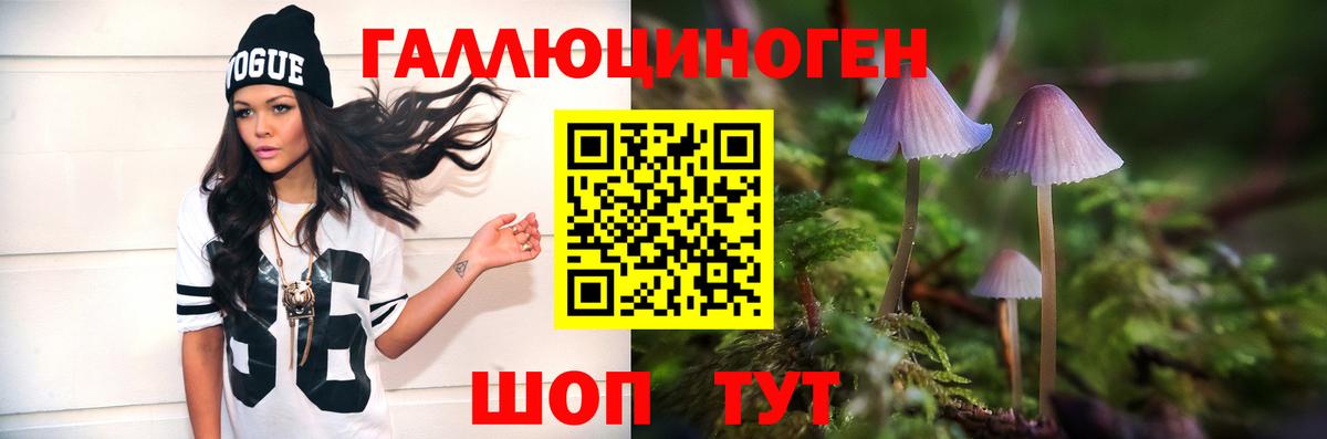Псилоцибиновые грибы мицелий  Галлюциногенные грибы Psilocybine cubensis  Вход с VPN  Благодарный 